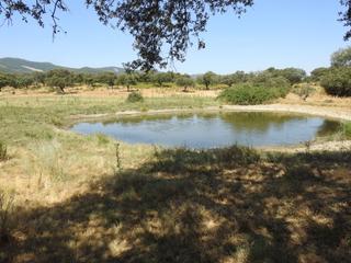 Finca rústica a Villar del Pedroso