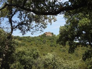 Fondo rustico in Villar del Pedroso