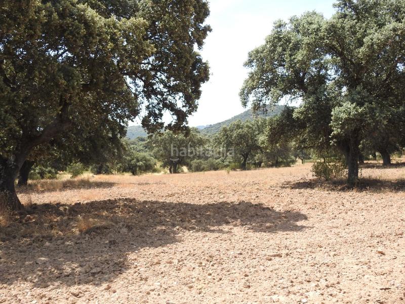 Foto 0a7dd9e3-c093-4c04-a5ba-bf5a44e9611e. Finca rústica en Villar del Pedroso