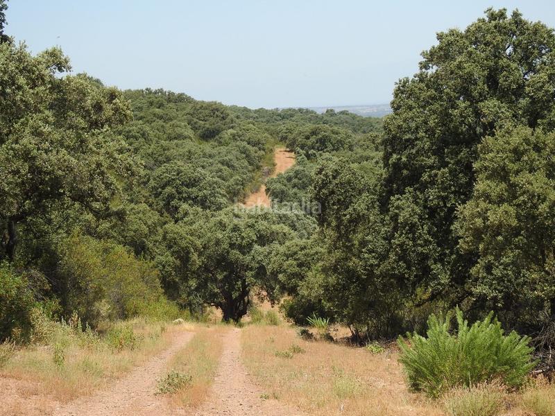 Foto 702f8be7-ebf2-45ad-9e16-b12165846388. Finca rústica en Villar del Pedroso