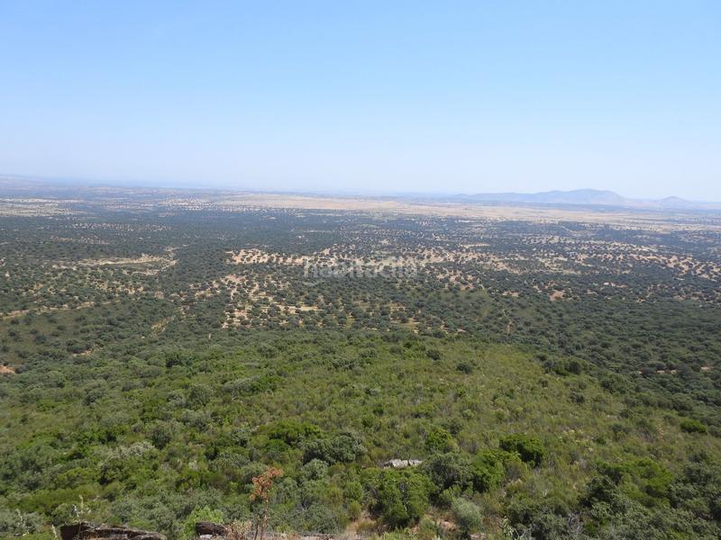 Foto 7e0afa70-7056-4db3-95ce-20339c054044. Finca rústica en Villar del Pedroso