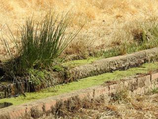 Rural plot en Villar del Pedroso