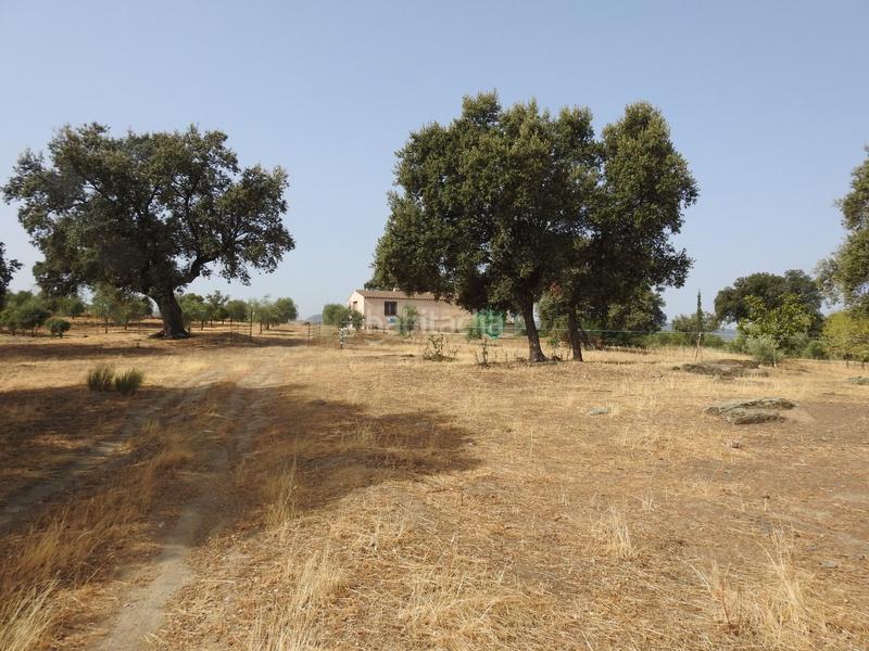 Foto 2f1e22aa-f553-4427-9c49-1f6a3007e33b. Propriété dans Villar del Pedroso