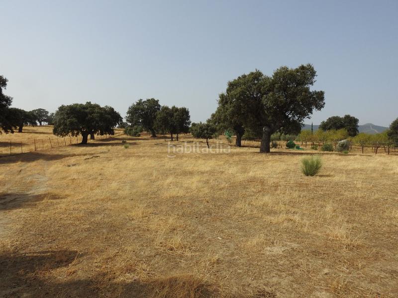 Foto 71d898ec-f5de-4eb1-9bb3-8027f4187882. Propriété dans Villar del Pedroso