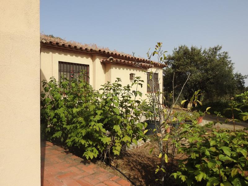 Foto a5bb8af7-7ac6-4e93-96ed-df159d4ebf0f. Propriété dans Villar del Pedroso