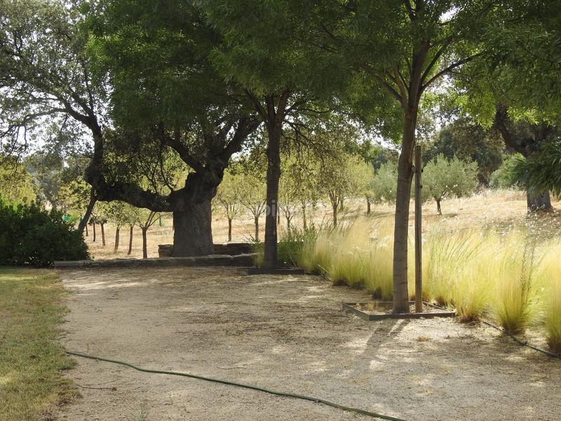 Foto 7d8d5ee6-ad78-44a4-8d86-26ed0b5aabda. Finca rústica en Villar del Pedroso