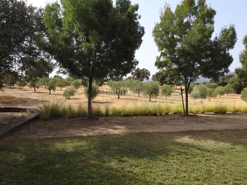 Foto d29d8668-2b4f-47e5-a3b2-4085ce87773d. Finca rústica en Villar del Pedroso