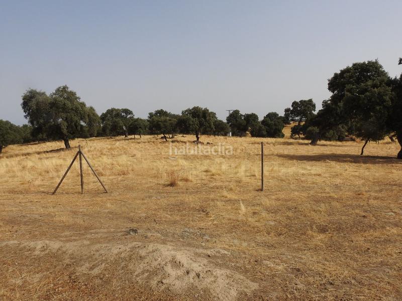 Foto ddf15414-891e-4d2a-9027-8982933cbd92. Finca rústica en Villar del Pedroso