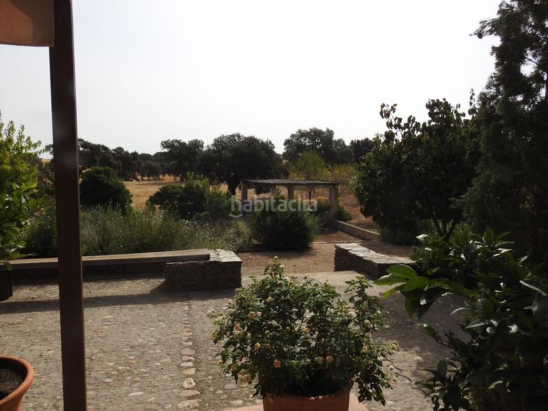 Foto e648df13-012a-46e3-98f9-05368d49a23c. Finca rústica en Villar del Pedroso