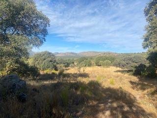 Finca rstica en Navalagamella