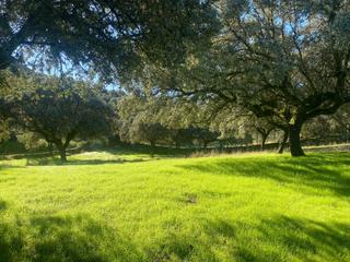 Bauernhof en Real de San Vicente (El)