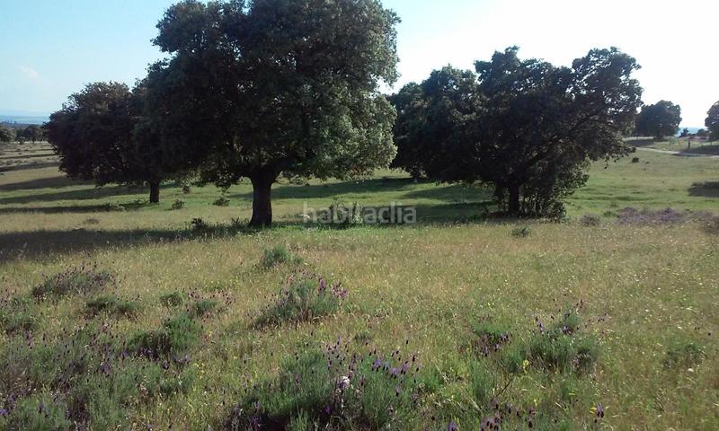 Foto 8590dc69-24a9-45c6-8866-103e9e527b88. Finca rústica a San Román de los Montes