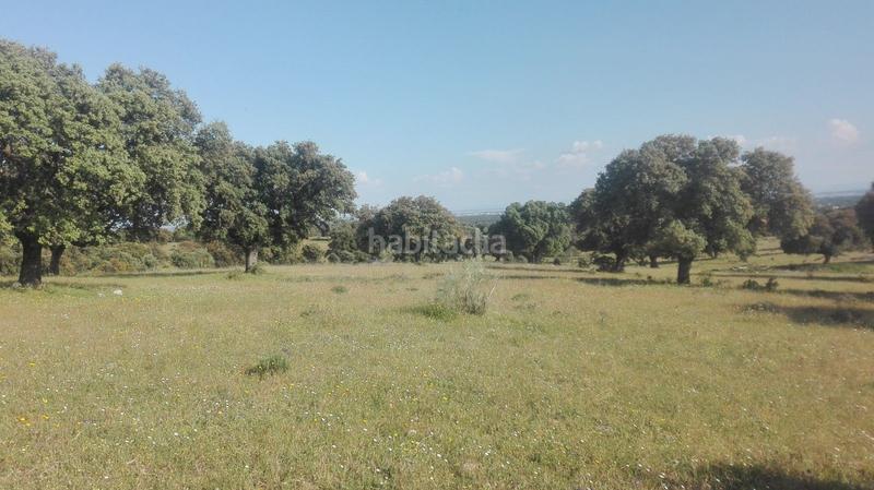 Foto ba2c3d4f-7774-4d8e-b799-e2ccb99903c8. Finca rústica a San Román de los Montes