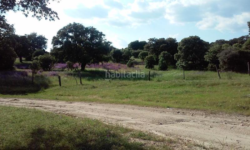 Foto eeebc908-fc7a-443d-a115-177a9ed86d48. Finca rústica a San Román de los Montes
