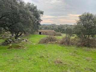 Finca rústica a Navamorcuende