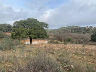 Rural plot en Anchuras. Finca cineg�tica 670 has a 2hr 30 min. de madrid