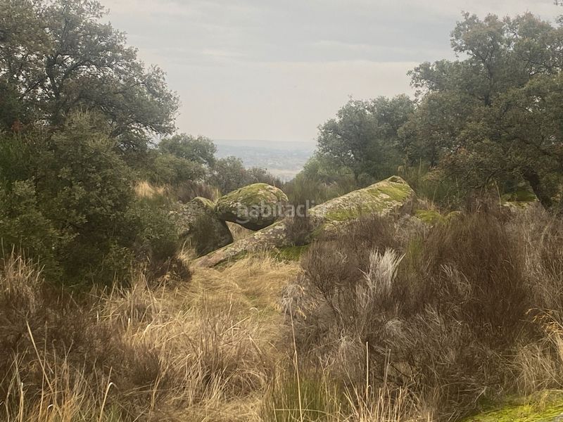 Foto 0dc47ab3-2073-48c1-97ae-149d9950174f. Landgut in Estrella (La)