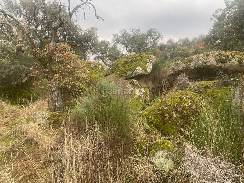 Foto 18ab737c-f86b-4f1d-b0d3-749e5c9dc02d. Landgut in Estrella (La)