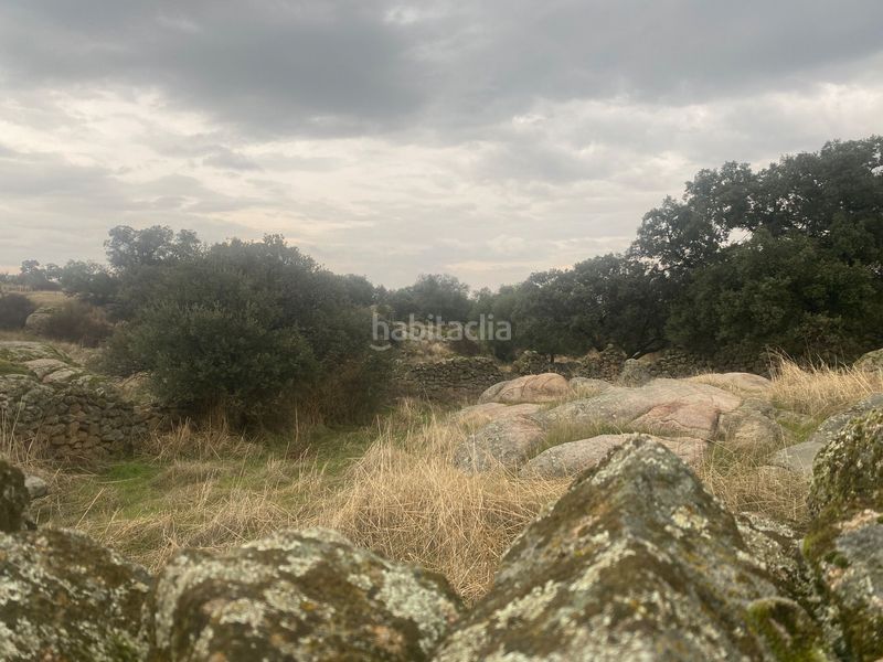 Foto 31c21253-7774-4eea-9fde-6d079f92d8a5. Landgut in Estrella (La)