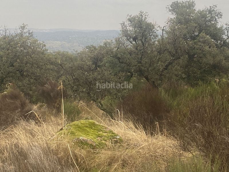 Foto 47850b84-a63d-48a0-ab10-9fbfea2fad3f. Landgut in Estrella (La)