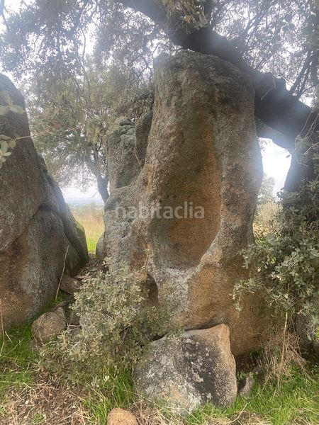 Foto 788ea2ed-5a0f-4604-b8b7-511ca2605dea. Landgut in Estrella (La)