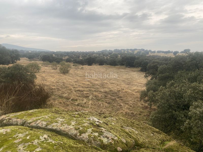 Foto 80d82714-4710-4cf9-ae59-953bf97a3dbe. Landgut in Estrella (La)