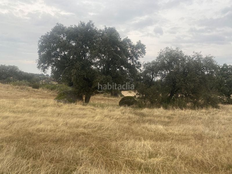 Foto 9da59204-21c3-4f6c-89b3-649a4d9297d0. Landgut in Estrella (La)