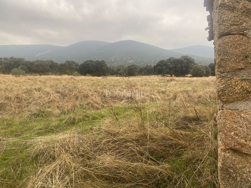 Foto a8c80918-2352-4931-9743-c0d53fac5e20. Landgut in Estrella (La)
