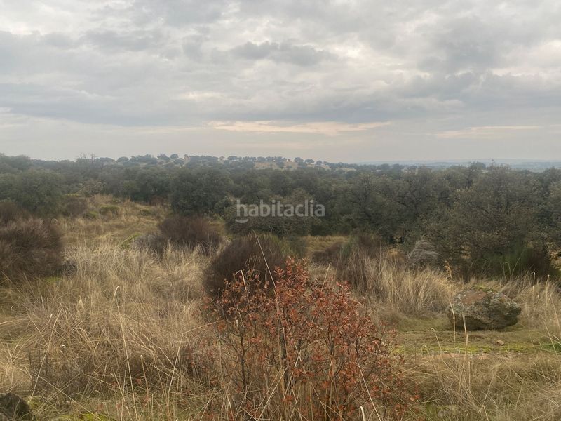 Foto aba10f98-2a00-4967-9e96-377e985cdf2c. Landgut in Estrella (La)