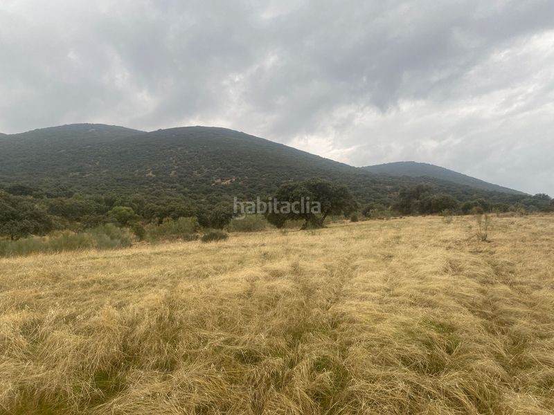 Foto ad9fa471-dbc6-4b0d-8ed6-68d040dd3bce. Landgut in Estrella (La)