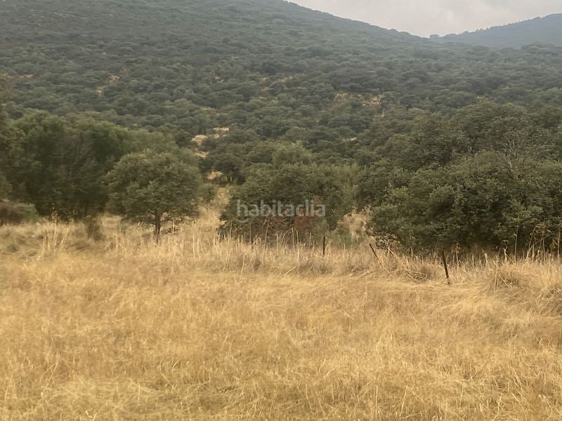 Foto aee483a0-cac8-48be-bf1b-b8e9c3a8ce7c. Landgut in Estrella (La)