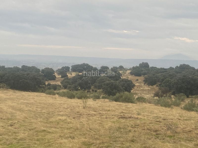 Foto af6f6f38-c4bd-4de7-8f95-f1bb78dd447b. Landgut in Estrella (La)