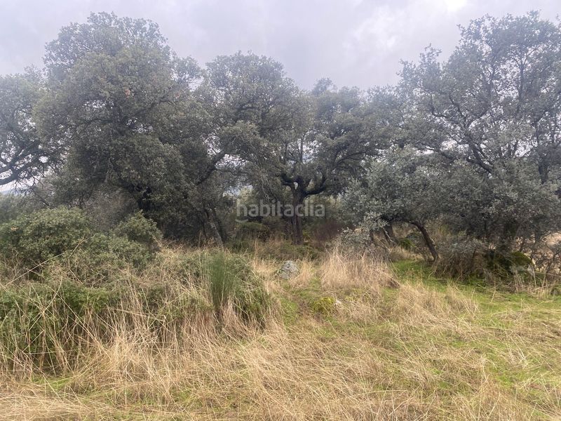 Foto b39299b4-bc5f-464f-9efd-64f68587de9b. Landgut in Estrella (La)