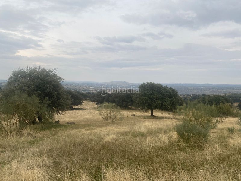 Foto b6543f8e-31bf-49da-ac7e-1aa374f38d1e. Landgut in Estrella (La)