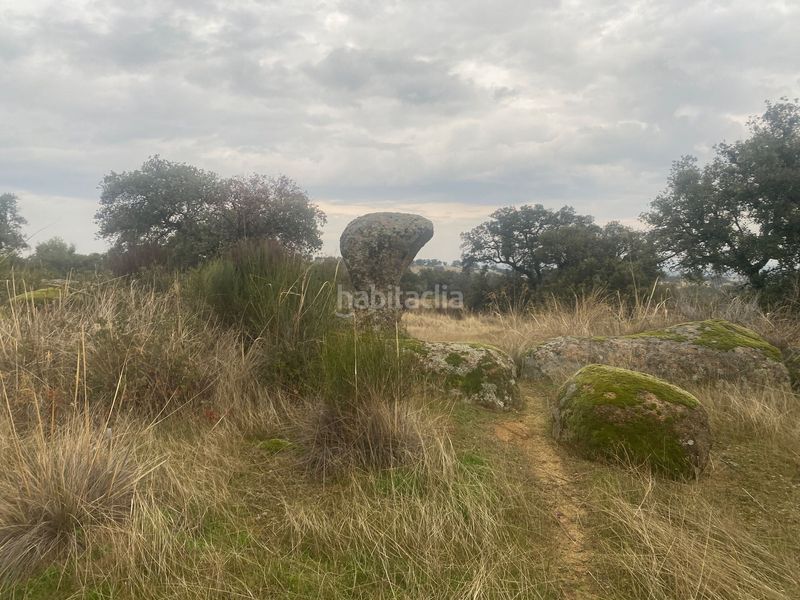 Foto b7bea142-a8c8-4910-a830-8bcc2290b065. Landgut in Estrella (La)
