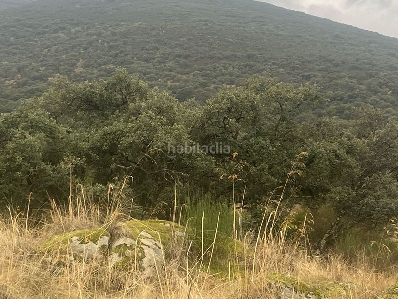 Foto e7005b3c-c948-4b36-94fd-9762ef34e6fb. Landgut in Estrella (La)