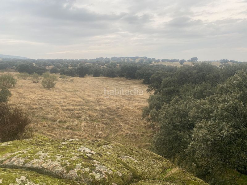 Foto ea46bc5b-15ce-4983-945c-c0cd58383dae. Landgut in Estrella (La)