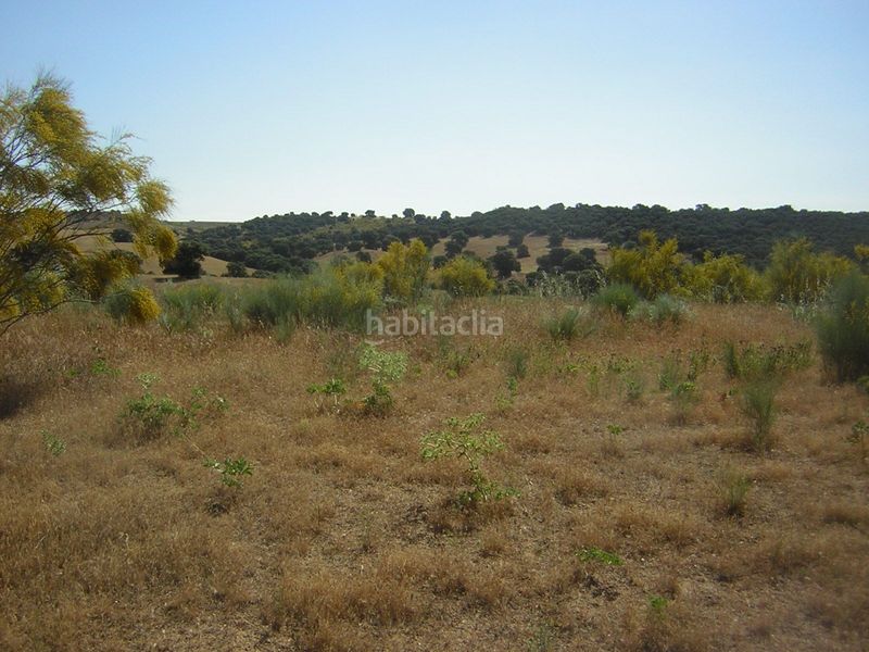 Foto 07bf3ee2-20b7-4304-8a3a-a9214aa70a52. Finca rústica en Almorox
