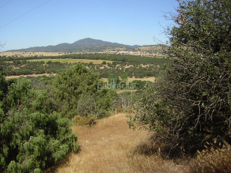 Foto 3c0bb53e-dbd7-492c-b06d-de92a7b16009. Finca rústica en Almorox