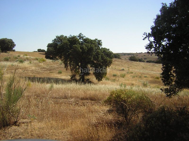 Foto 5ff9ff4d-1332-4ebc-a439-003b688b45ce. Finca rústica en Almorox