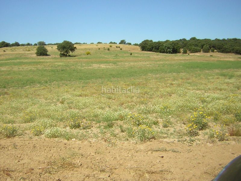 Foto 6630a2a5-ae57-477d-8e15-15915d9bef8c. Finca rústica en Almorox