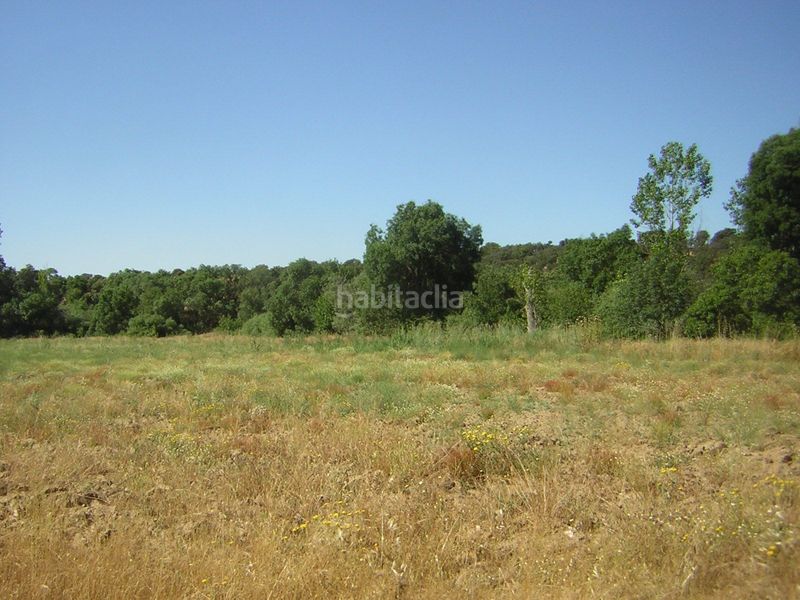 Foto ba00de5d-bd23-43a0-aea4-690871ca6c25. Finca rústica en Almorox