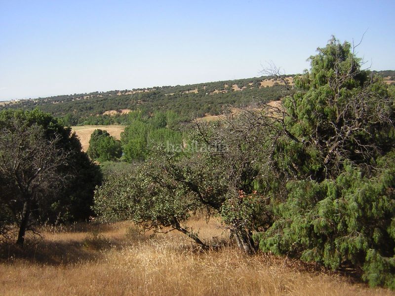 Foto fb910920-e0c6-440d-891b-70c9ddfbb417. Finca rústica en Almorox