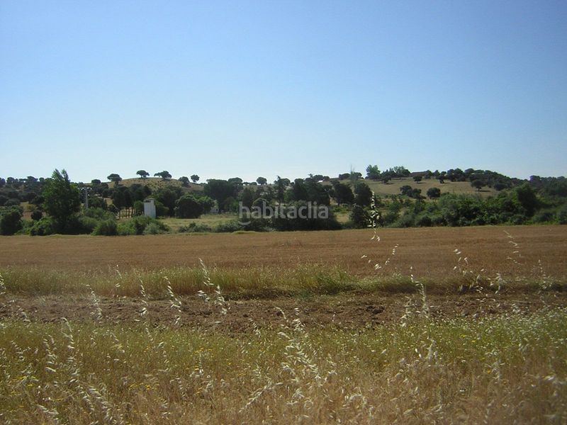 Foto fbdd1bf2-c225-4e07-a2de-ea64b1dd596e. Finca rústica en Almorox