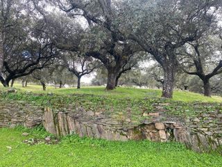 Landgut en Mohedas de la Jara