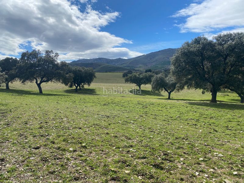 Foto 05b68d11-9ded-4ff0-83a8-c7a4cf8ef233. Finca rústica a Mohedas de la Jara