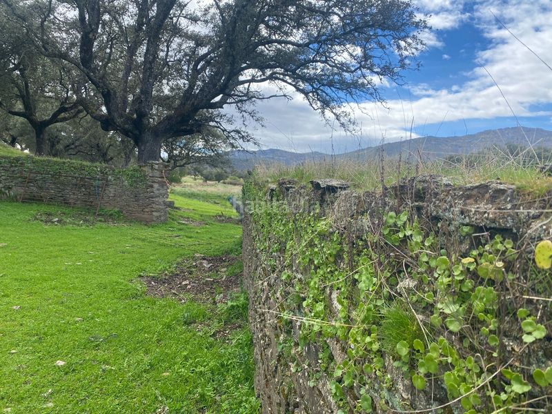 Foto 19ecab66-1854-41a1-9ab2-8d4ead721b0a. Finca rústica a Mohedas de la Jara