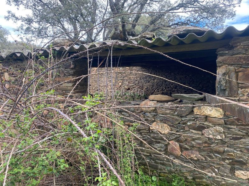 Foto 276b24b3-c360-449b-aa6d-1c76d382af0d. Finca rústica a Mohedas de la Jara