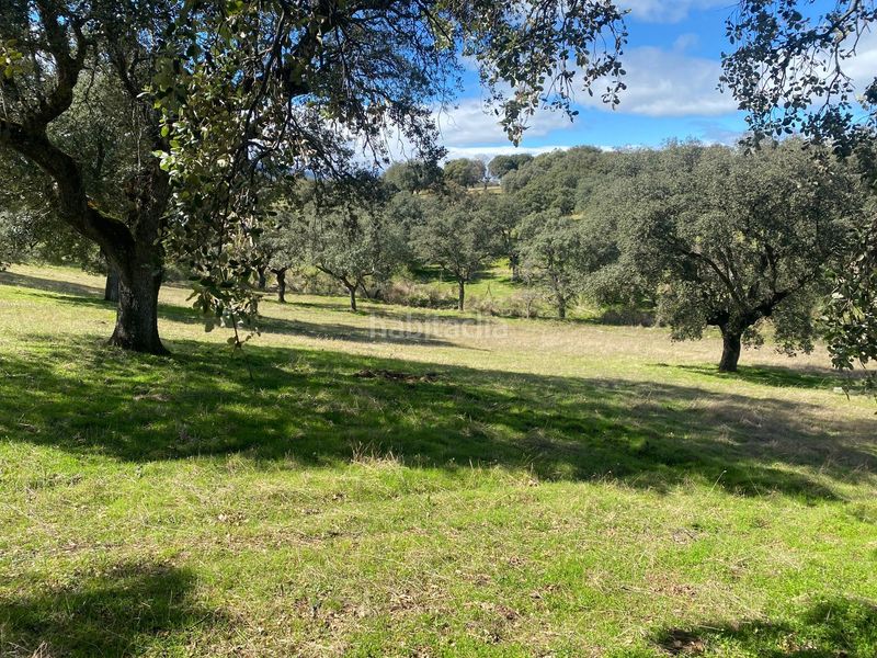 Foto 2addb712-d966-46e4-b3d9-92f19db4ce24. Finca rústica a Mohedas de la Jara