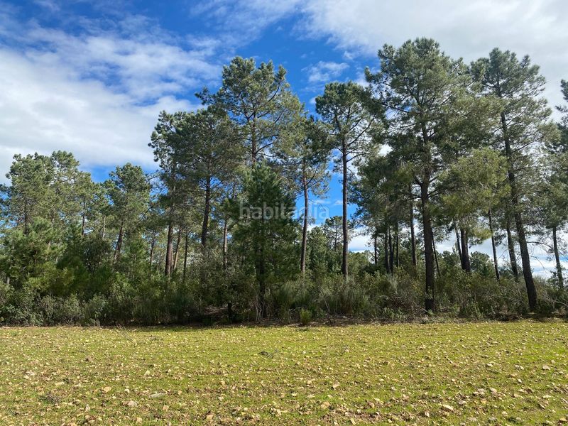 Foto 2b1e0ace-3269-4ede-bad1-59c9837218b3. Finca rústica a Mohedas de la Jara